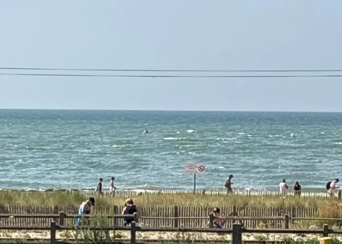 Tatil Evi Les Carlins Houlgate